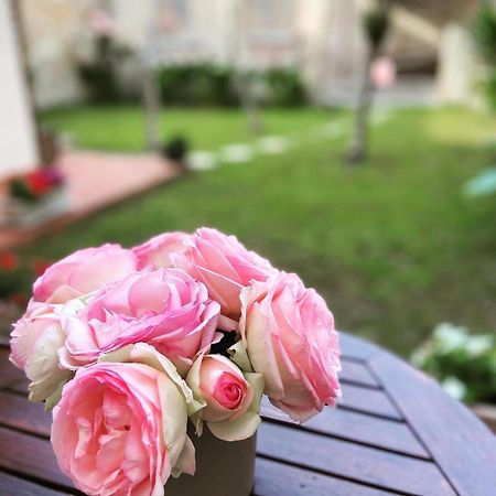 Victoria House B&B ピサ エクステリア 写真
