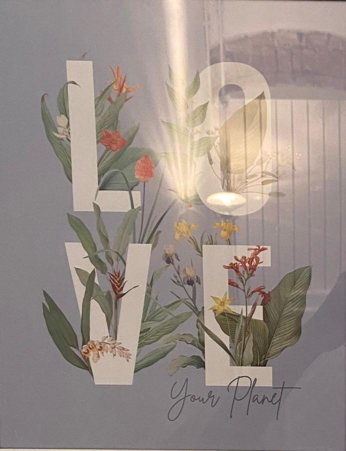 Victoria House B&B ピサ エクステリア 写真