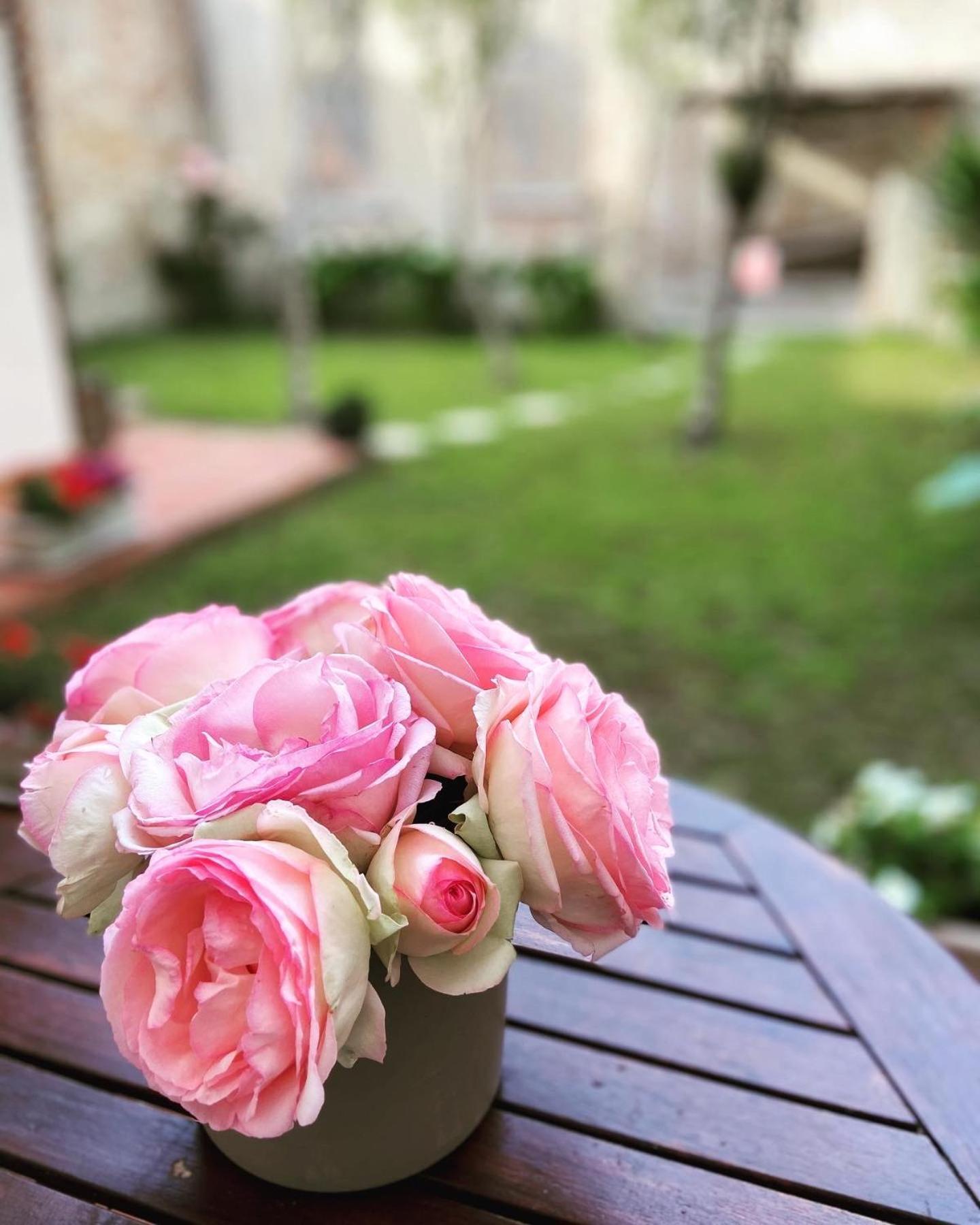 Victoria House B&B ピサ エクステリア 写真